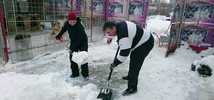 Protecţia animalelor, în atenţia Filialei USR Sector 3