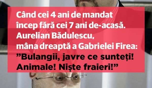 Solicitare publică adresată Gabrielei Firea